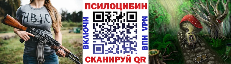 Купить закладки  Курганинск  Псилоцибиновые грибы GOLDEN TEACHER 